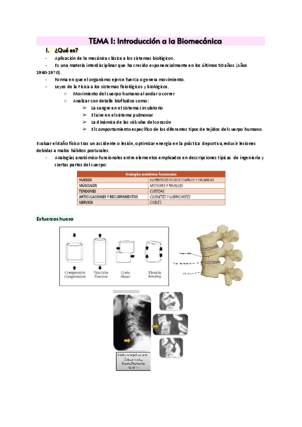 Miniatura del documento Solidos-parte-teoria-1.pdf