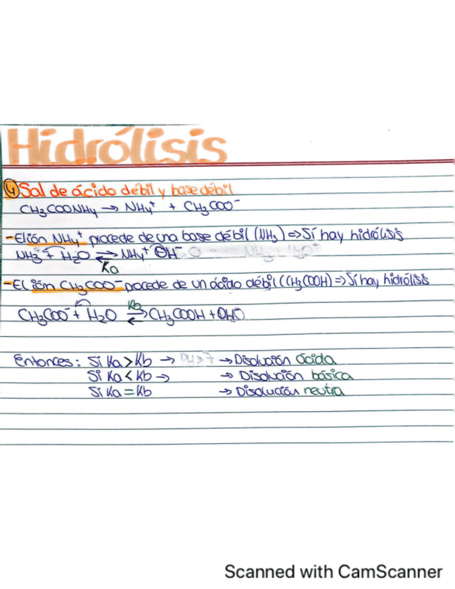 Miniatura del documento Hidrolisis.pdf