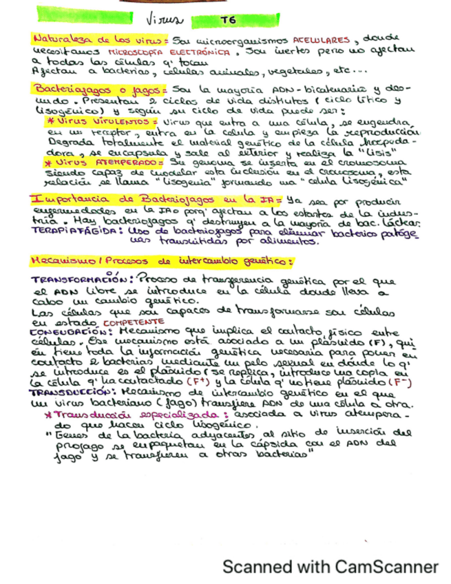 Miniatura del documento RESUMEN-TEMA-6.pdf