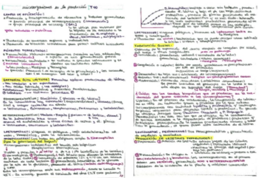 Miniatura del documento RESUMEN-TEMA-10.pdf