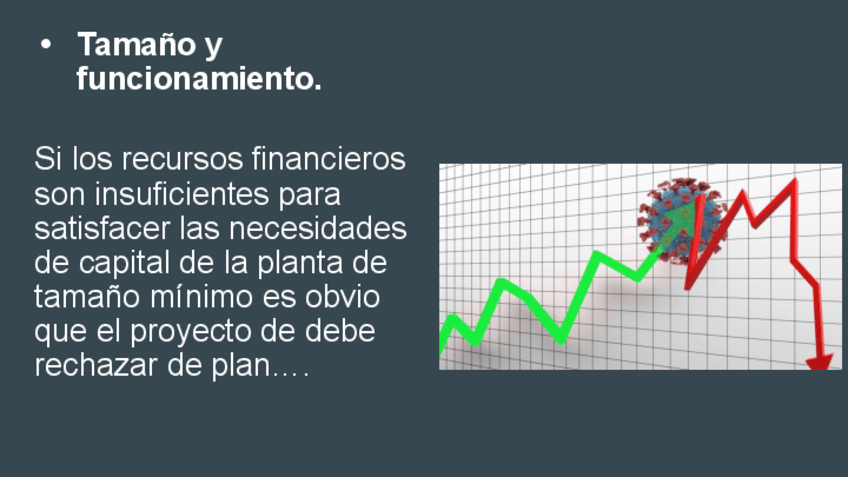 Miniatura del documento 36Tamano-y-funcionamiento.-proyeco.pdf