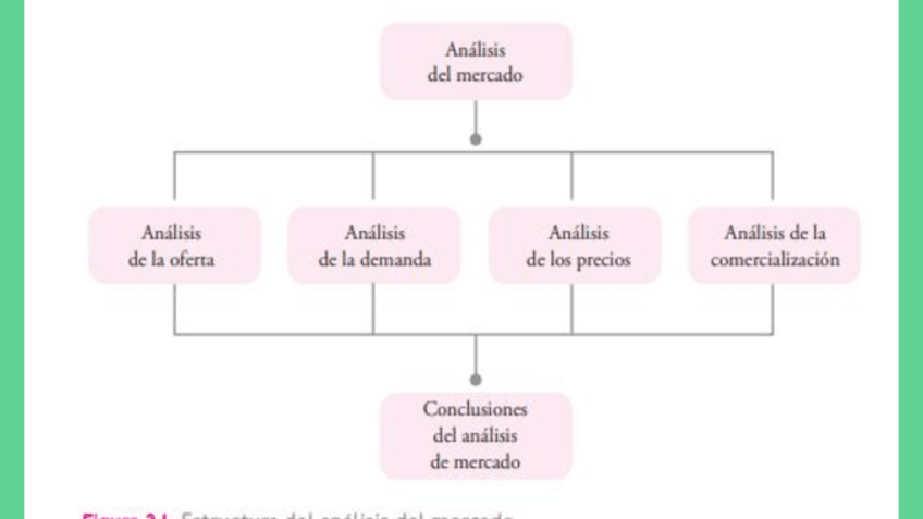 Miniatura del documento 49-mapa-analisis-de-mercado.pdf