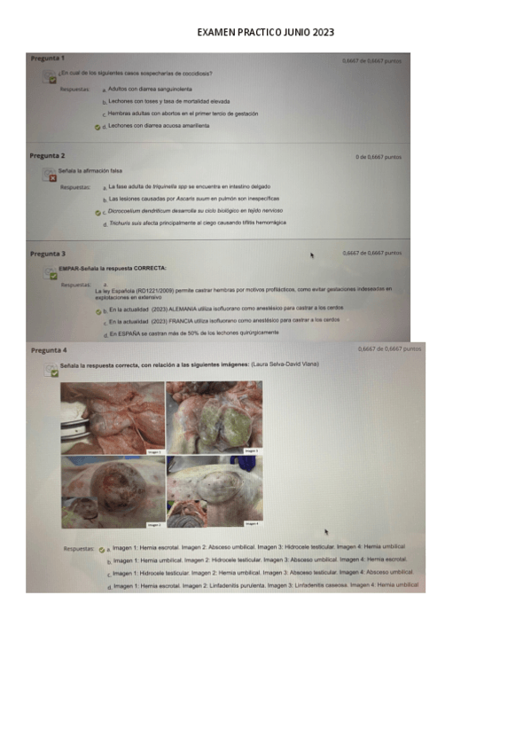 Miniatura del documento EXAMEN-PRACTICO-JUNIO-2023.pdf
