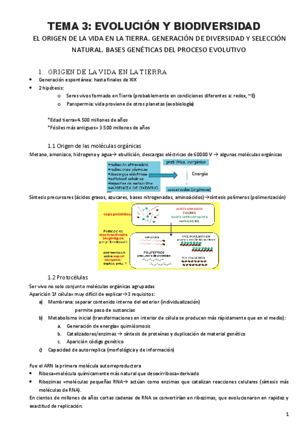 Miniatura del documento Tema-3-Evolucion-y-biodiversidad.pdf