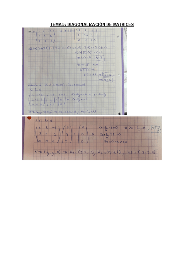 Miniatura del documento TEMA-5.pdf