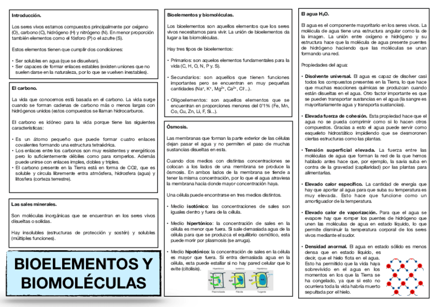 Miniatura del documento 1.-Bioelementos-y-biomoleculas..pdf
