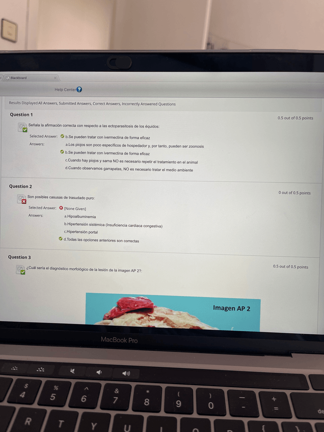 Miniatura del documento Parcial 2 Equino enero 23.pdf
