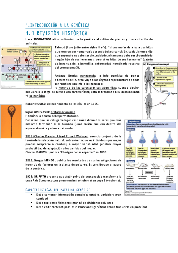 Miniatura del documento GENETICA-TODO.pdf