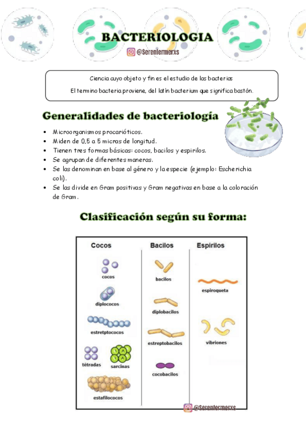 Miniatura del documento BACTERIOLOGIA.pdf