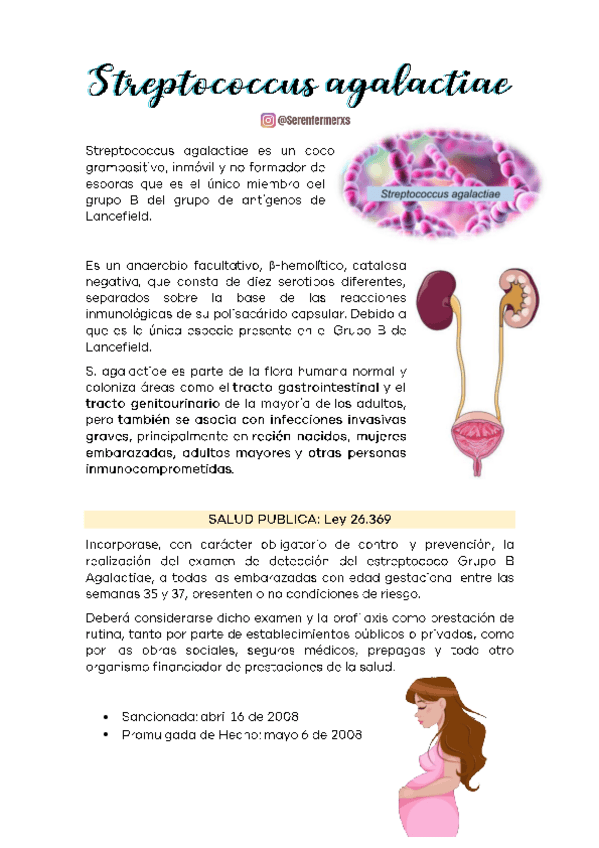 Miniatura del documento Streptococcus-agalactiae.pdf