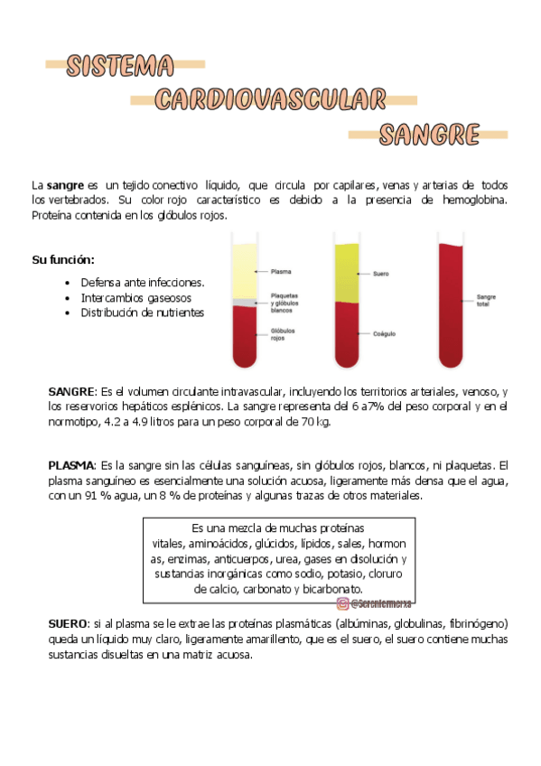 Miniatura del documento SANGRE-bio-2.pdf