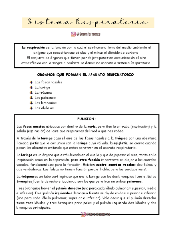 Miniatura del documento SISTEMA-RESPIRATORIO-BIO-2.pdf