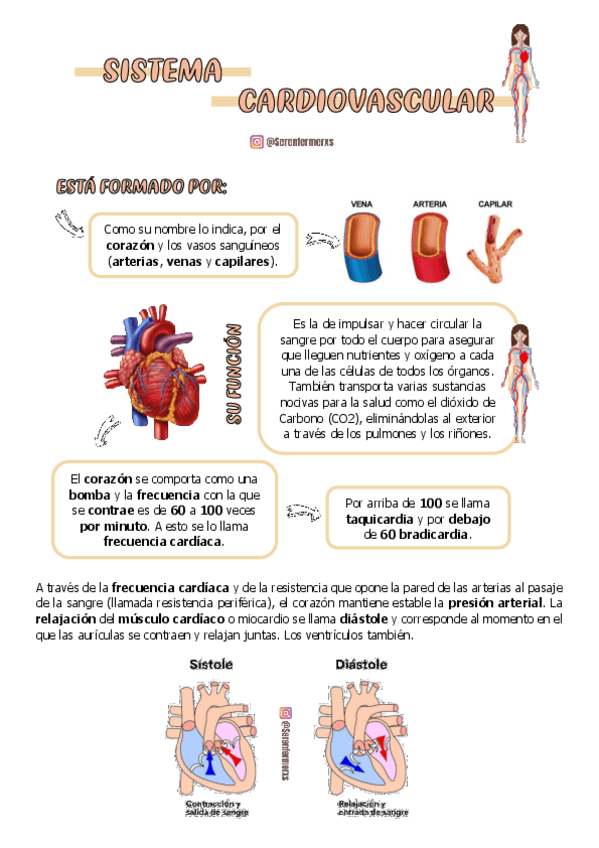 Miniatura del documento SISTEMA-CARDIOVASCULAR.pdf