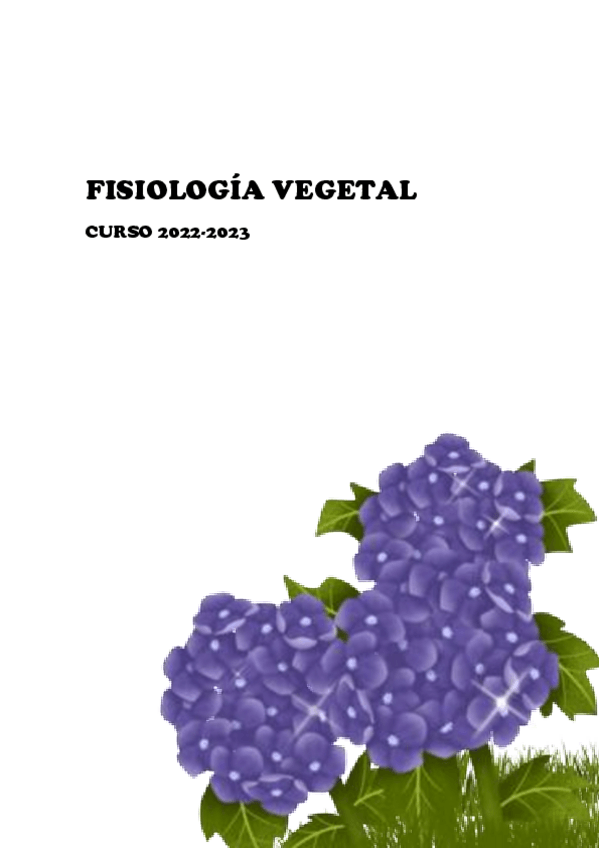 Miniatura del documento Apuntes-completos-GRUPO-C.pdf