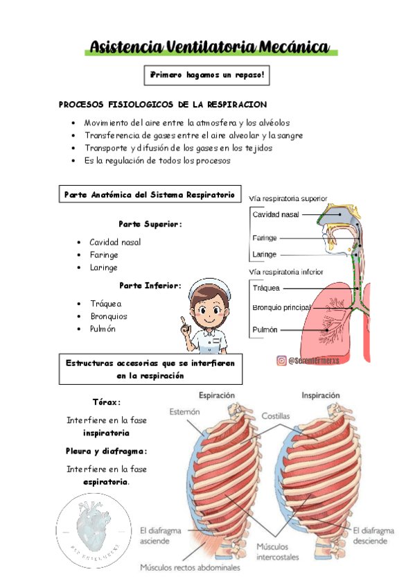 Miniatura del documento Asistencia-Ventilatoria-Mecanica.pdf