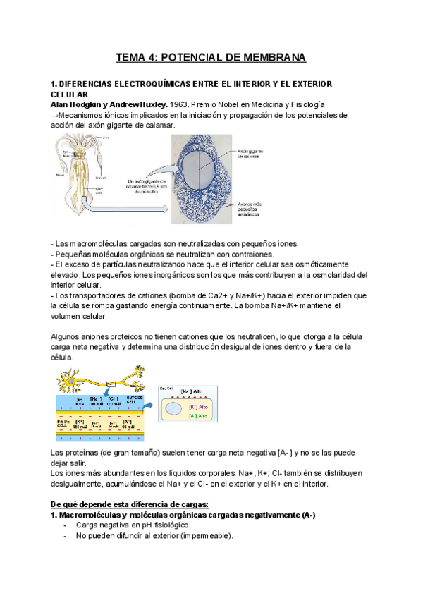 Miniatura del documento FISIOLOGIA-T4.pdf
