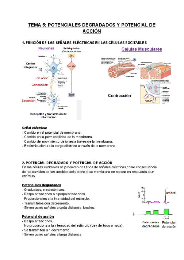 Miniatura del documento FISIOLOGIA-T5.pdf