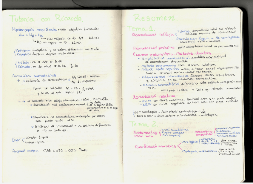 Miniatura del documento resumenopto2.pdf