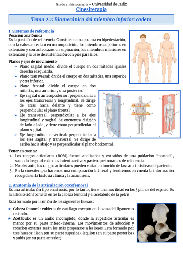 Miniatura del documento Tema-2-Biomecanica-del-miembro-inferior.pdf