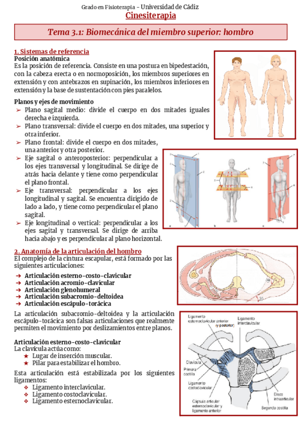 Miniatura del documento Tema-3-Biomecanica-del-miembro-superior.pdf