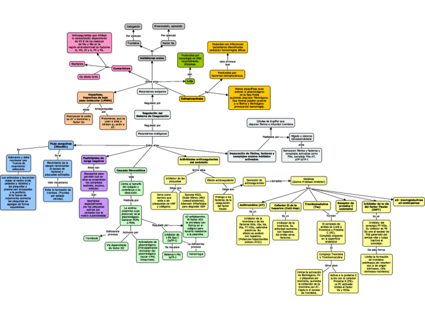 Miniatura del documento Regulacion-del-sistema-de-coagulacion.pdf
