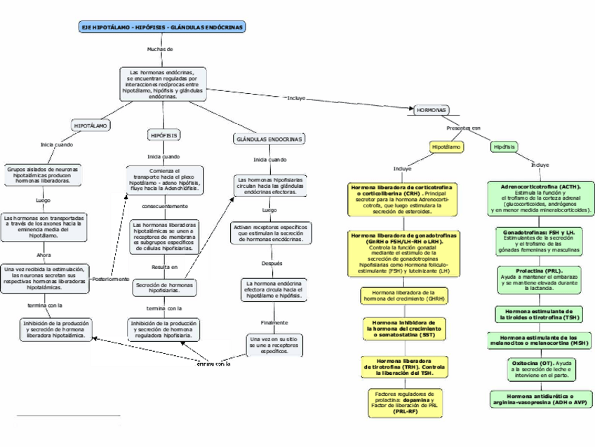Miniatura del documento Eje-hipofisis-hipotalamo..pdf