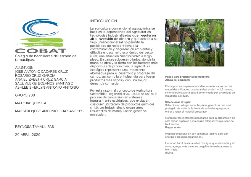 Miniatura del documento proyecto-de-informatica-1.docx