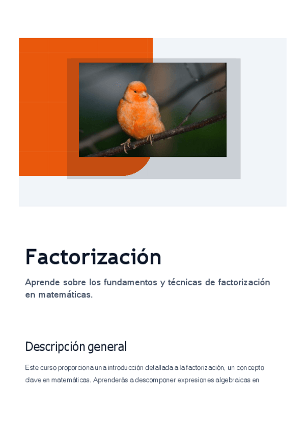 Miniatura del documento factorizacion.pdf