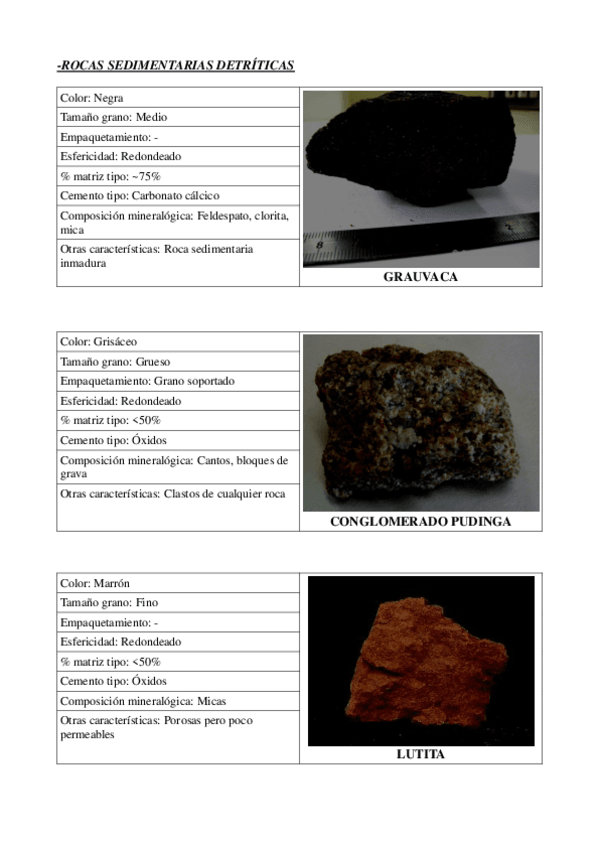 Miniatura del documento ROCAS SEDIMENTARIAS.pdf