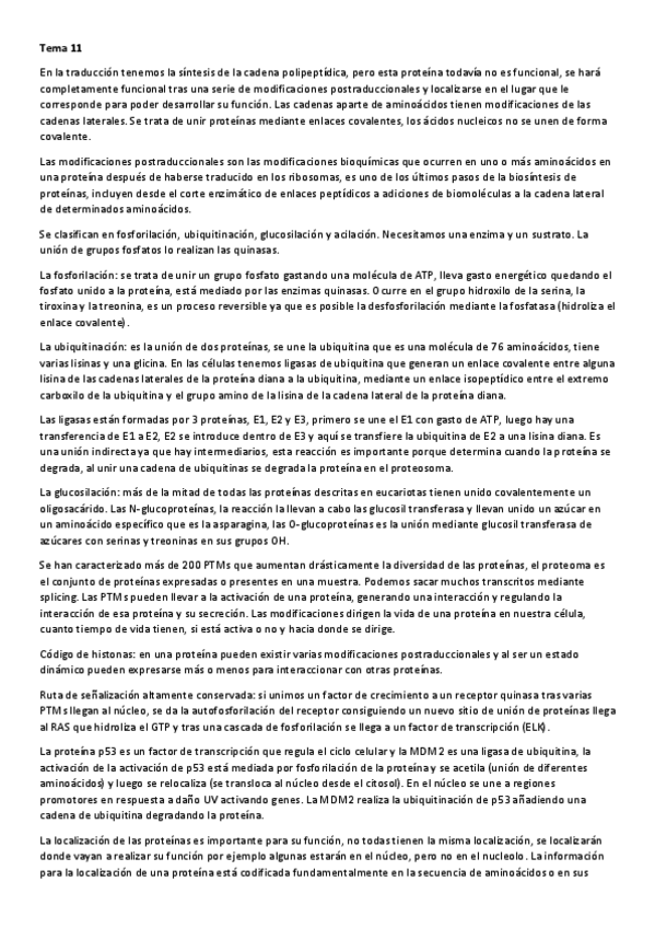Miniatura del documento Apuntes 11-24.pdf