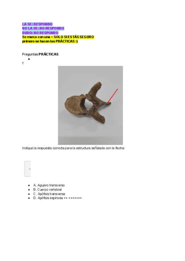 Miniatura del documento parcial-anatomia.pdf