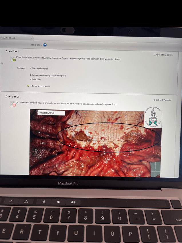Miniatura del documento Recu-Parcial-1-Equino-enero-23.pdf