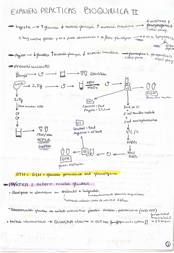 Miniatura del documento Apuntes-examen-practicas-bioquimica-II.pdf