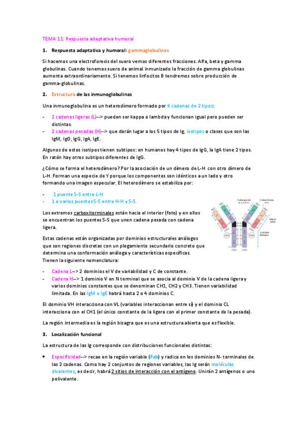 Miniatura del documento TEMA-11.-Estructura-de-las-Igs.pdf