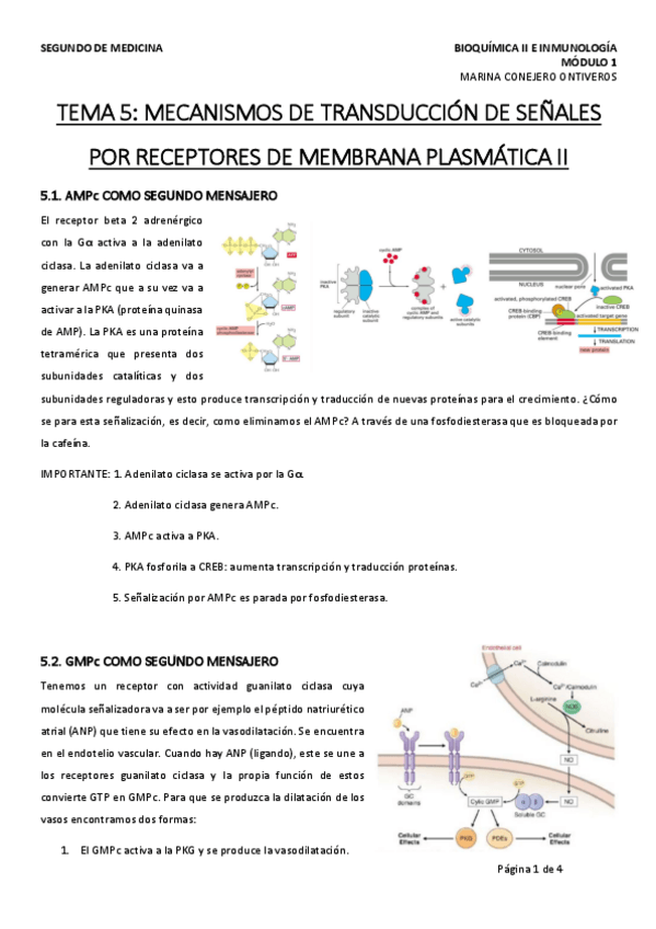 Miniatura del documento TEMA-5-BQII-MODULO-1-MARINA-2.pdf