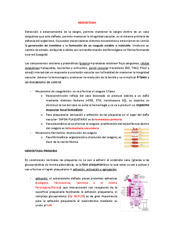 Miniatura del documento La-hemostasia-definicion-y-explicacion-del-proceso.pdf