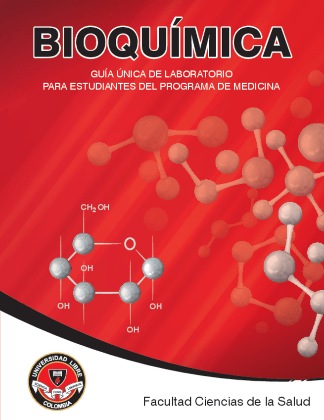 Miniatura del documento GUIA.pdf