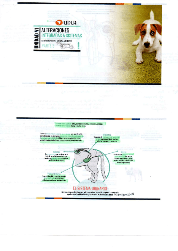 Miniatura del documento img2023071019424049.pdf