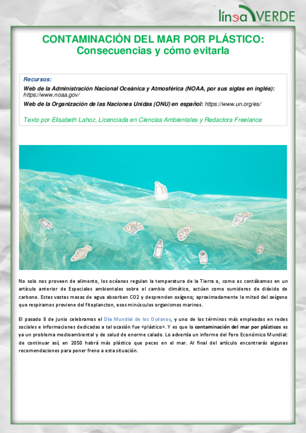 Miniatura del documento Contaminacion-del-mar-por-plastico.pdf