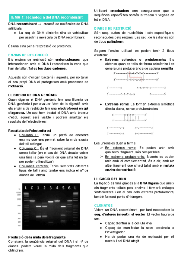Miniatura del documento Resum-Tema-1.pdf