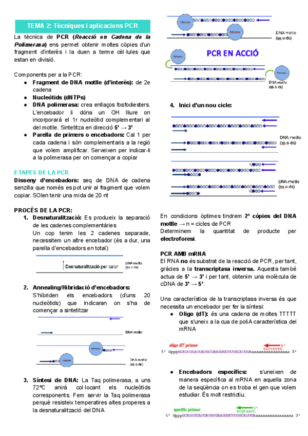 Miniatura del documento Resum-Tema-2.pdf