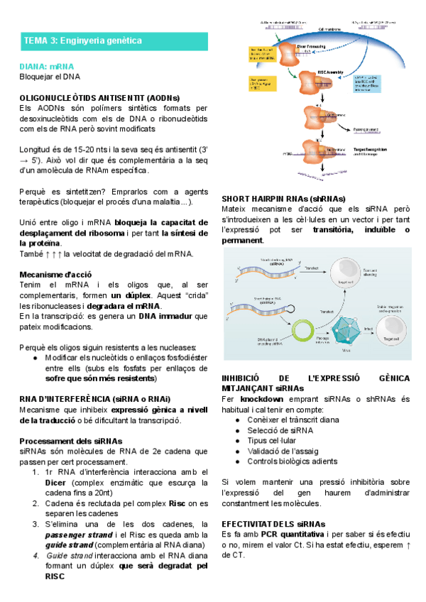 Miniatura del documento Resum-Tema-3.pdf