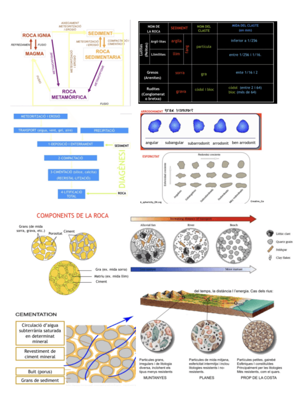 Miniatura del documento Roques-sedimentaries.pdf