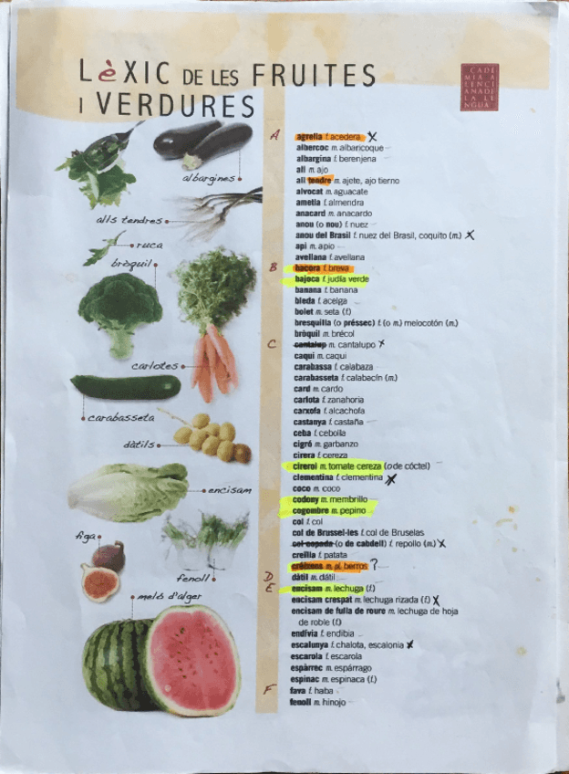 Miniatura del documento Vocabulari.pdf