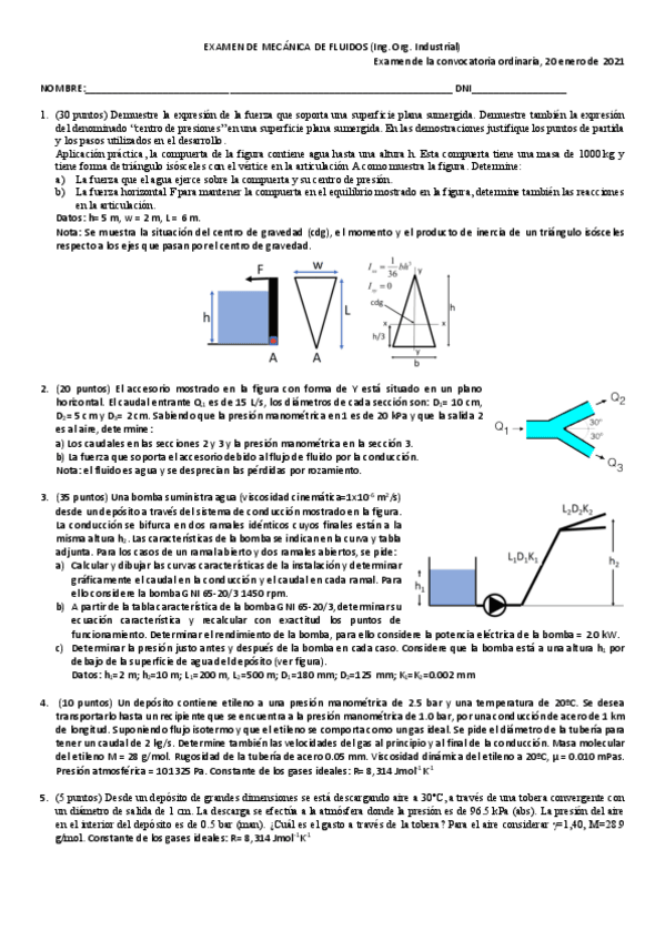 Miniatura del documento Final20ene2021.pdf