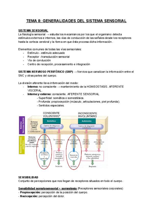Miniatura del documento FISIOLOGIA-T8.pdf