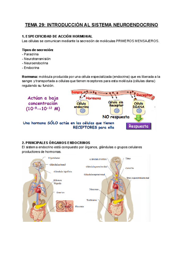 Miniatura del documento FISIOLOGIA-T29.pdf