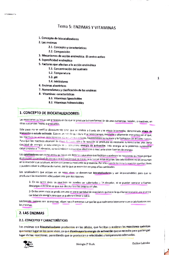 Miniatura del documento tema-2.-enzimas.pdf