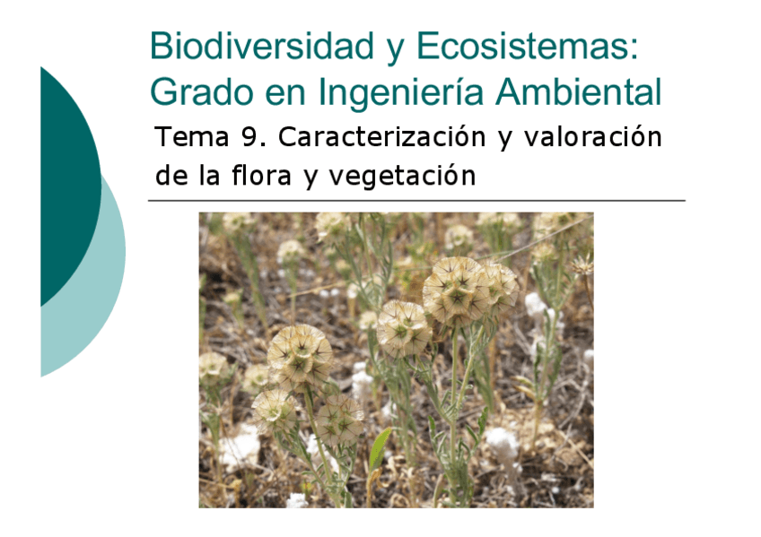 Miniatura del documento Tema-9.pdf