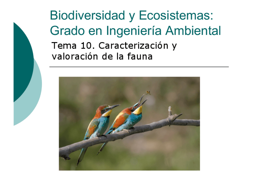 Miniatura del documento Tema-10.pdf